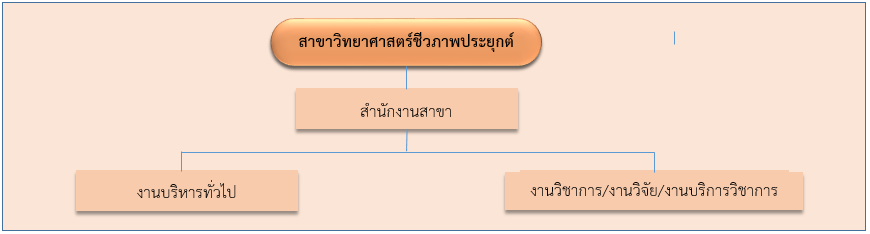 โครงสร้าง_2.png