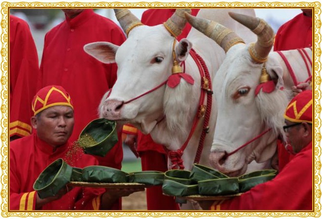 ploughing_ceremony_2017.jpg