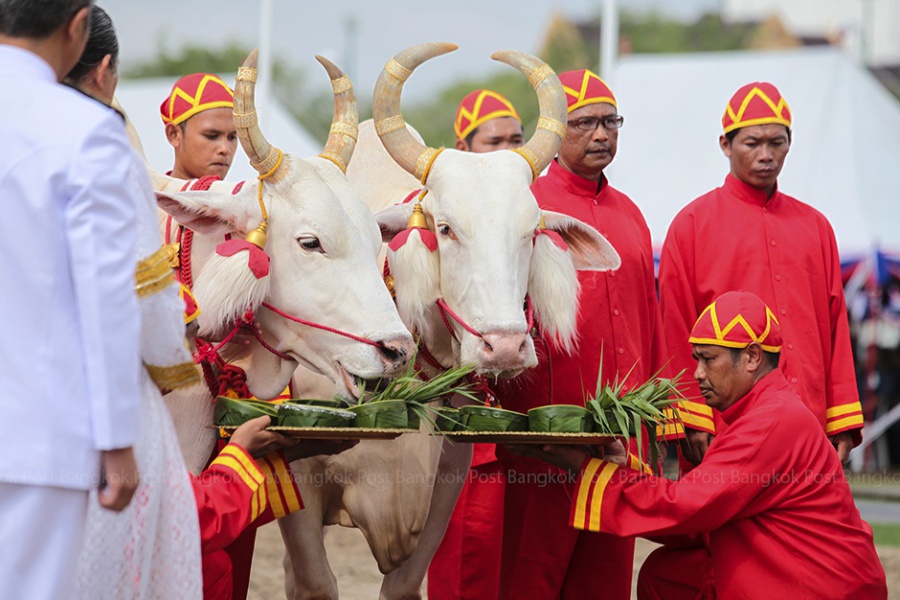 พิธีจรดพระนังคัลแรกนาขวัญเนื่องในวันพืชมงคล