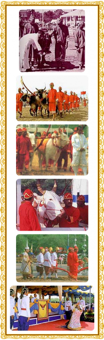 royal_ploughing_ceremony_2.png