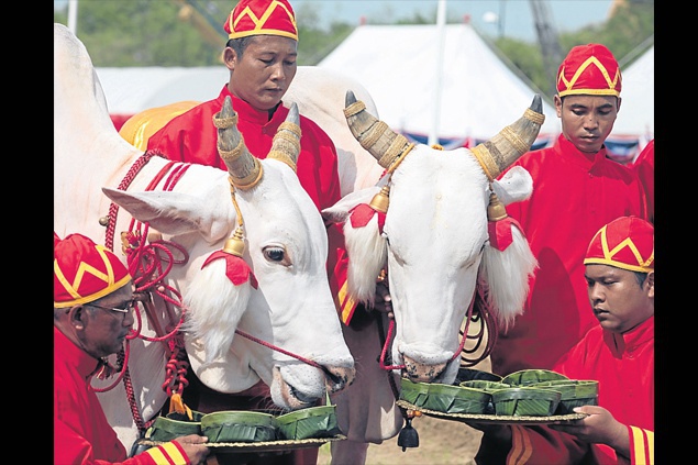 royal_ploughing_ceremony_2013.jpg