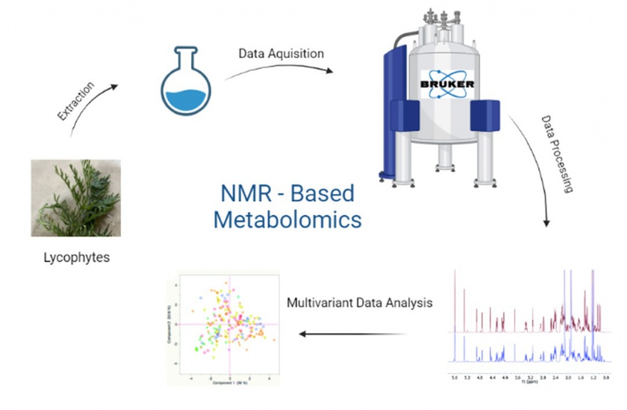 development_of_nmr_base.jpg