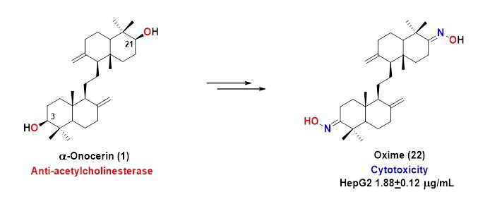 semi_synthetic.jpg