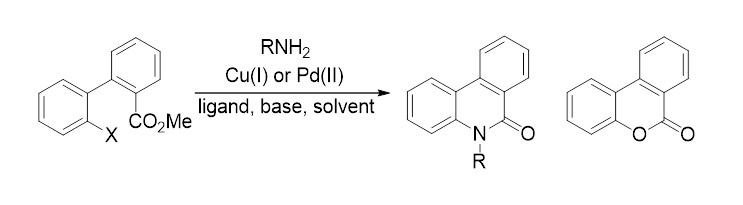 synthesis_of_phenanthridinones.jpg