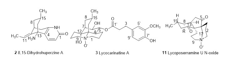 three_new_lycopoium.jpg