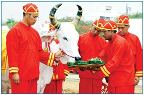 theroyalploughingceremony1.jpg